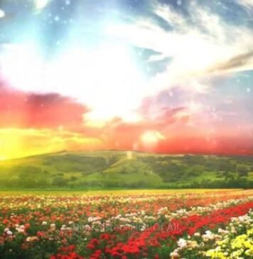 Who are the People of Paradise?