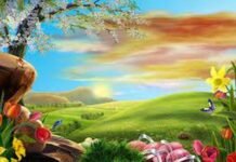 Description Of The Jannah (Paradise)